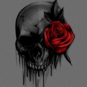 Meet your Posher, Roberta